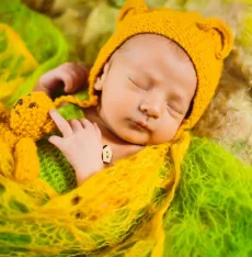 about us 2 230x234 px